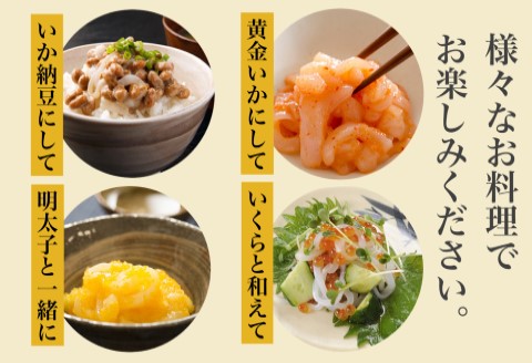 【道水】真いかお造りジャングル1kg（500g×2袋） いか刺身 いかそうめん 三陸・北海道沖産_HD108-012