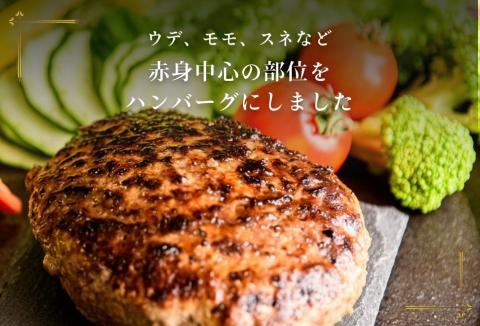 神の鹿バーグ ５個入_HD085-036