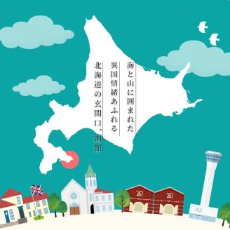 北海道函館市ANAトラベラーズホテル割引クーポン（15,000点）_HD126-008