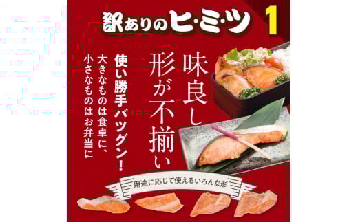 紅鮭切身 訳あり品　バラ詰め2.0kg_HD231-015