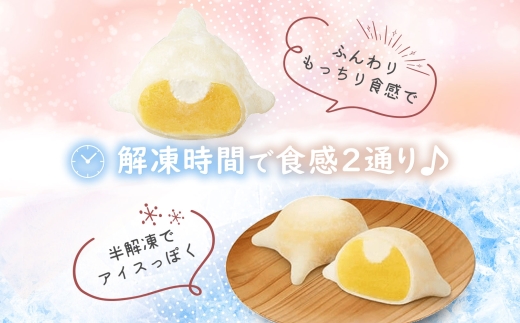 北海道 はこだて 雪んこ かぼちゃ 6個入り 2箱 計12個_HD142-002