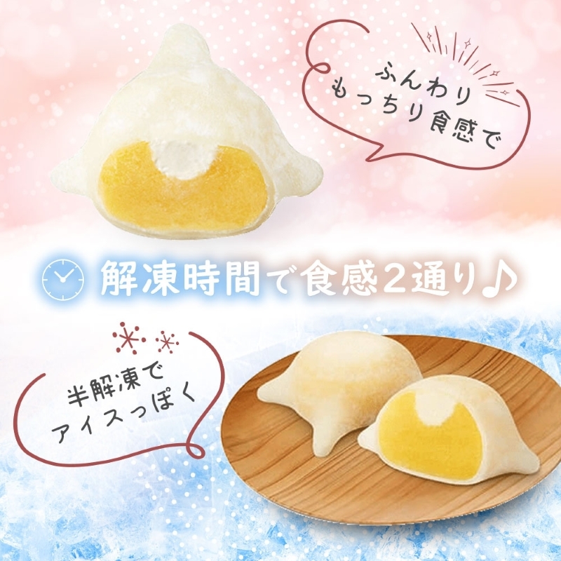 はこだて 雪んこ 2種（プレーン かぼちゃ 各1箱・無地熨斗）_HD142-023 熨斗あり