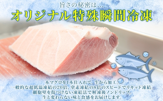 松前産 本マグロ 中トロ 約160g_HD144-005