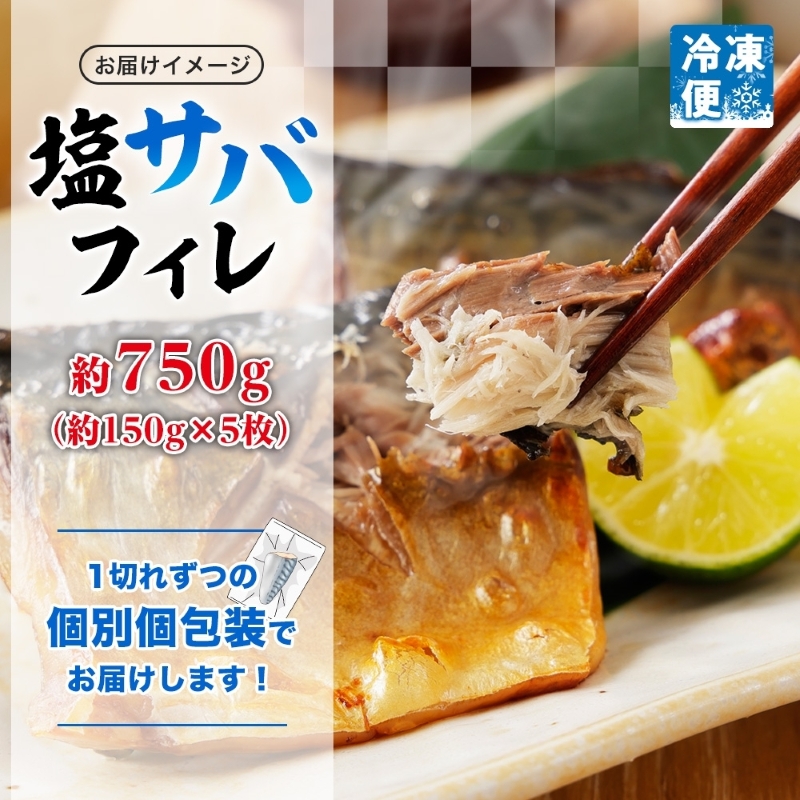 塩サバフィレ 約750g（約150g×5枚）_HD214-005 約750g（約150g×5枚）
