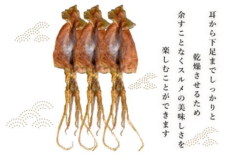 北海道産 するめいか 10枚 セット ( 1枚 40g ～ 50g ) 熟成 肉厚 スルメ 豊かな風味 噛めば噛むほど 旨味 おつまみ マヨネーズ 唐辛子 BBQ おやつ 常温 干物 マルナマ古清商店 北海道 函館 お取り寄せ お取り寄せグルメ 送料無料_HD231-003