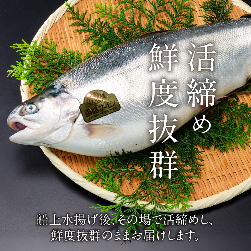 【2026年6月発送　先行予約】函館サーモン 750g プレミアム 養殖 サーモン 新鮮 鮮度抜群 脂乗り 旨味 凝縮 水揚げ前 餌止め 活締め 漁師 こだわり 魚 海鮮 海の幸 冷凍 お取り寄せグルメ お取り寄せ 国産 北海道 函館市 送料無料_HD231-013 750g