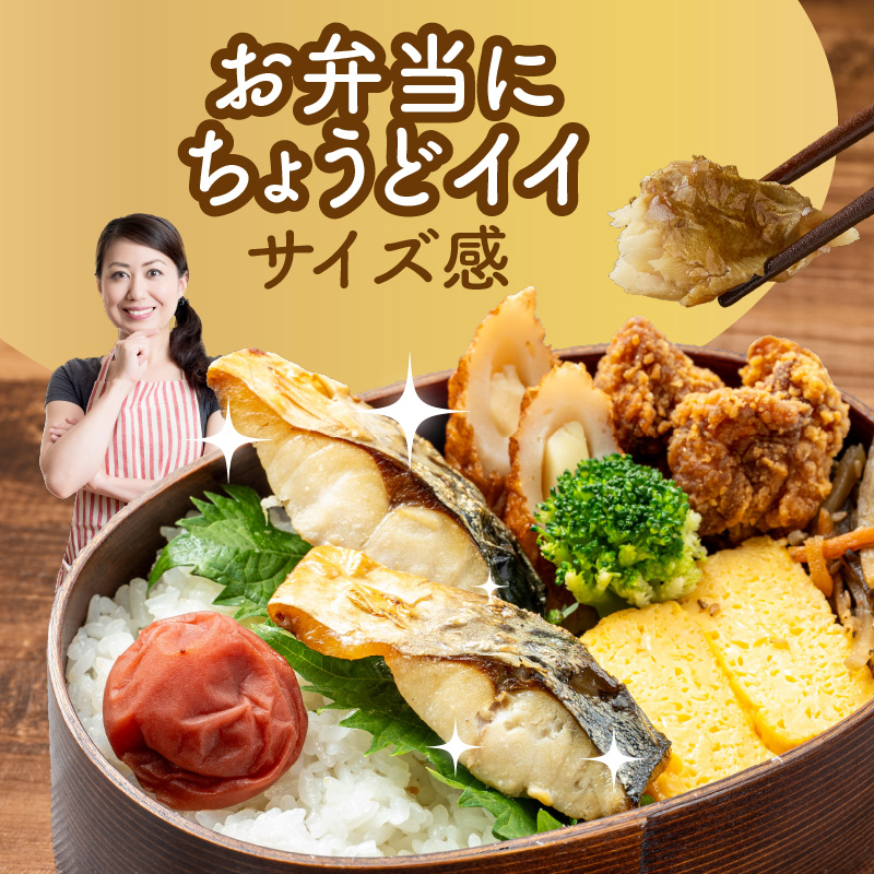 【訳あり】北海道ニッスイ　ふり塩仕立てサバ切身 3kg（1.5kg入り × 2ケース）_HD247-001 3kg（1.5kg入り × 2ケース）