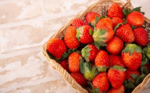 はこだて恋いちご いちごシフォンケーキ_HD100-007