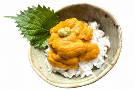 無添加塩水ウニパック(100g) ×2個セット_HD069-007