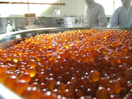 函館冨茂登のいくら醤油漬け（1瓶 化粧箱入り）_HD043-003