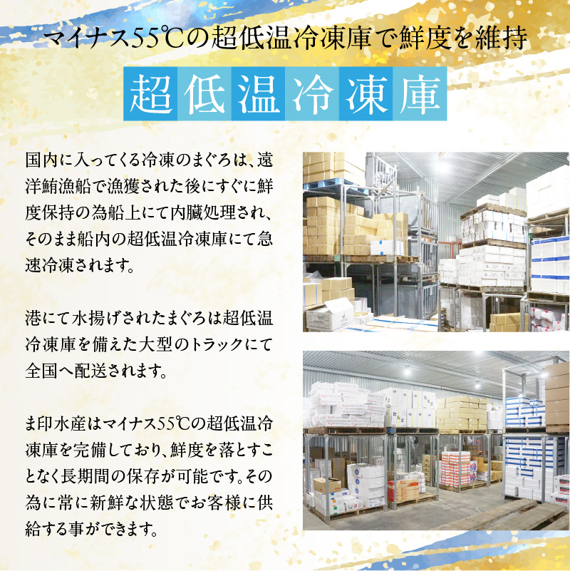 【訳あり】函館産 本まぐろづくし（300g×3パック）_HD109-001 300g×3パック