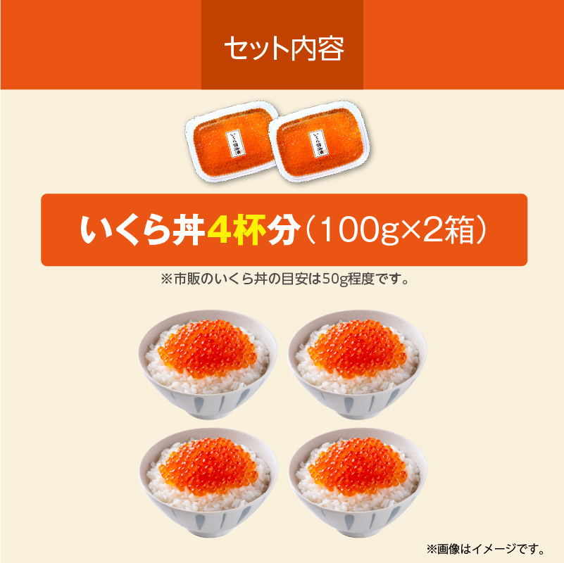 北海道産いくら 100g×2箱_HD117-030 2箱