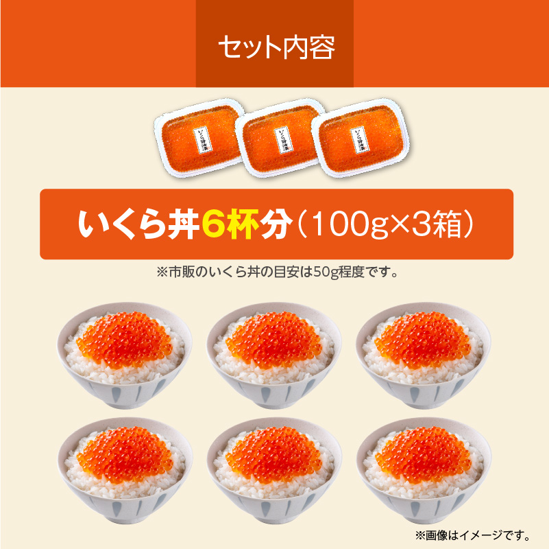 北海道産いくら 100g×3箱_HD117-031 3箱