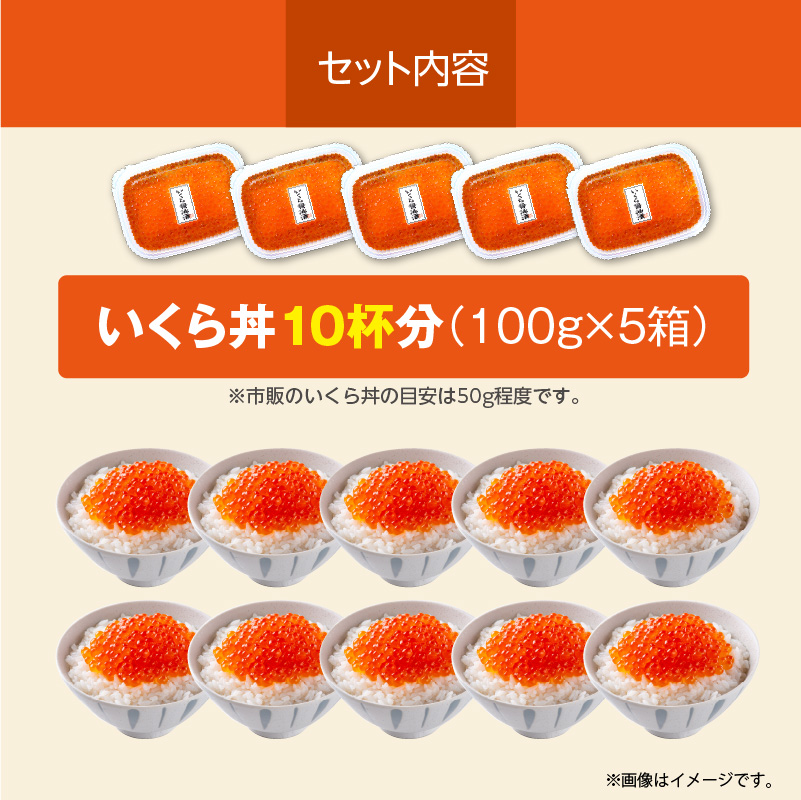 北海道産いくら 100g×5箱_HD117-033 5箱