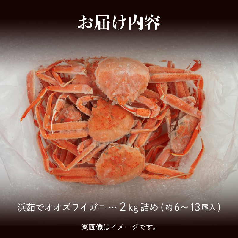 【2026年2月発送　先行予約】【訳あり】浜茹でオオズワイガニ 2kg 詰めセット 北海道噴火湾産 _HD206-001
