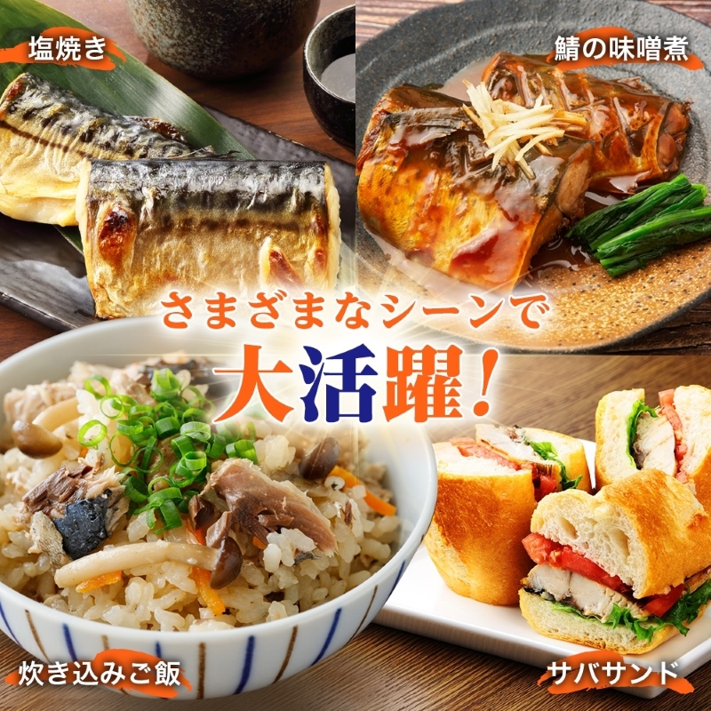 塩サバフィレ 約750g（約150g×5枚）_HD214-005 約750g（約150g×5枚）