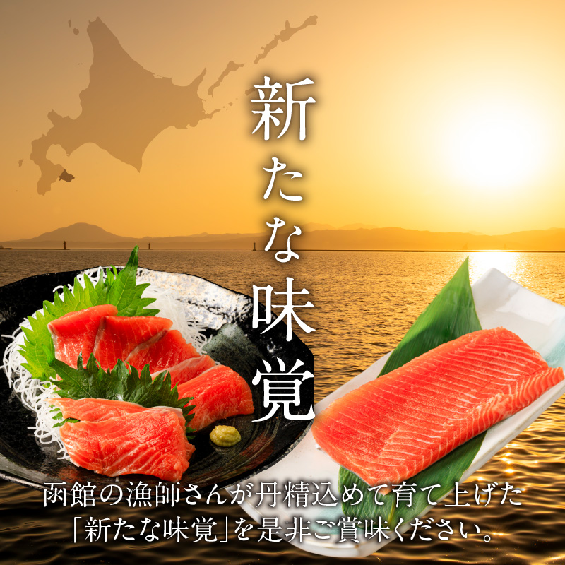 【2026年6月発送　先行予約】函館サーモン 750g プレミアム 養殖 サーモン 新鮮 鮮度抜群 脂乗り 旨味 凝縮 水揚げ前 餌止め 活締め 漁師 こだわり 魚 海鮮 海の幸 冷凍 お取り寄せグルメ お取り寄せ 国産 北海道 函館市 送料無料_HD231-013 750g