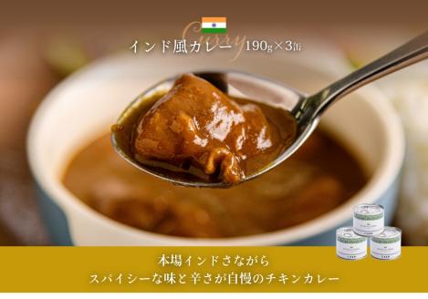 五島軒 オリジナル缶詰カレー10缶ギフト_HD030-010