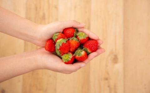 はこだて恋いちご いちごシフォンケーキ_HD100-007