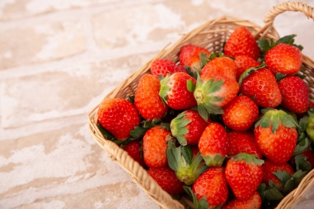 はこだて恋いちご ぷりん6個セット_HD100-002