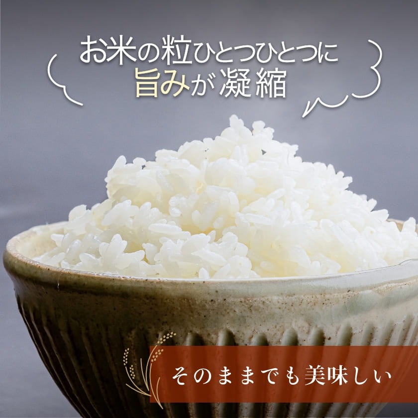 令和7年産 新米 北海道米　函館育ち「ふっくりんこ」20kgセット（5kg×4袋） 2025年度産 米 お米 白米 北海道産 甘味 函館 はこだて_HD037-003