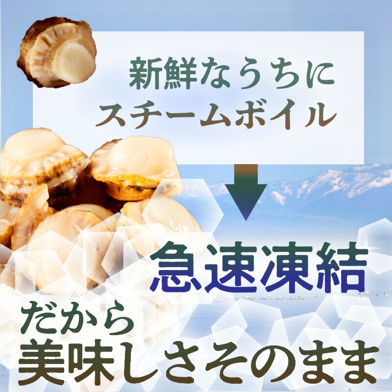 北海道噴火湾産 ボイルベビーホタテ_HD145-002