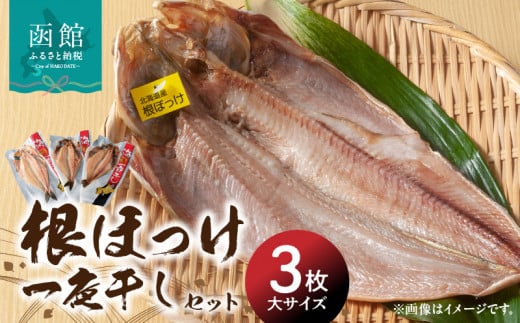根ほっけ一夜干しセット ほっけ ホッケ 北海道産 脂のり抜群 干物 魚 魚介 函館 はこだて_HD098-005