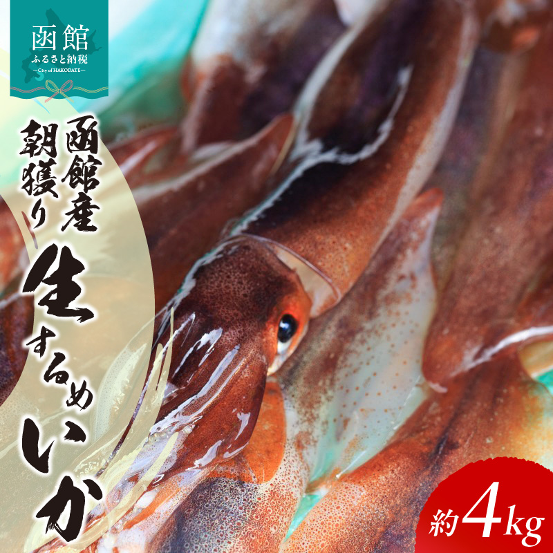 函館産朝獲り生するめいか_HD010-007