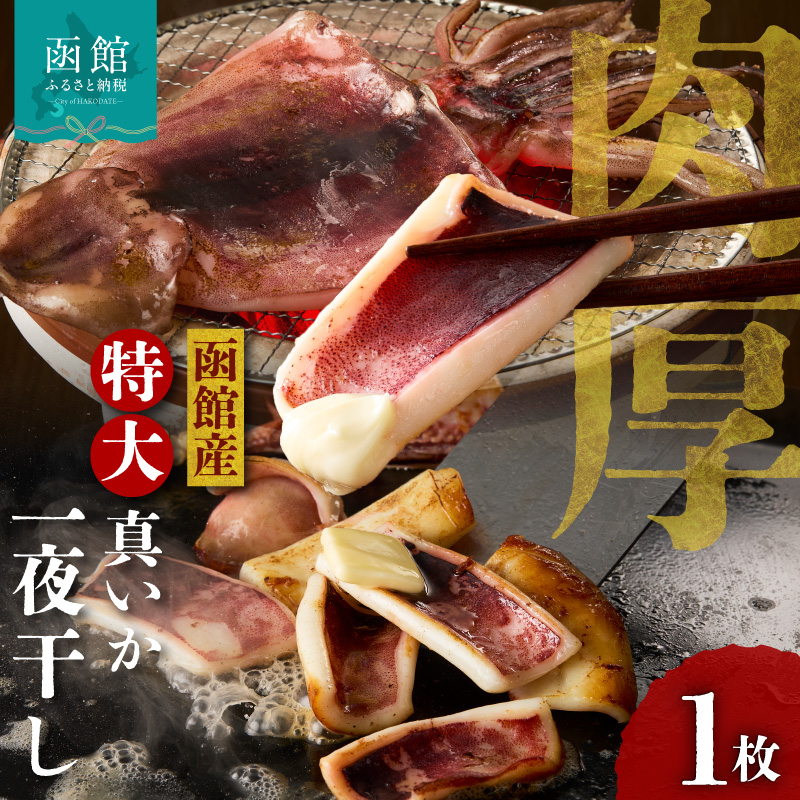 函館産 特大真いか 一夜干し 1枚_HD010-023