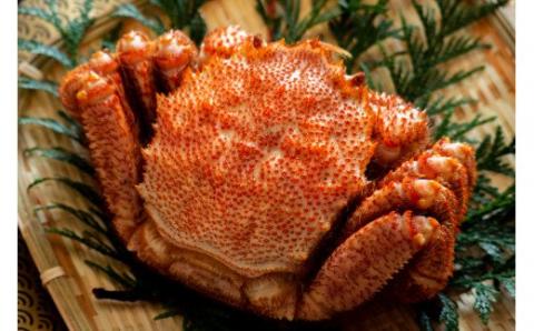 冷凍ボイル北海道名産毛蟹(500g)1尾_HD069-002