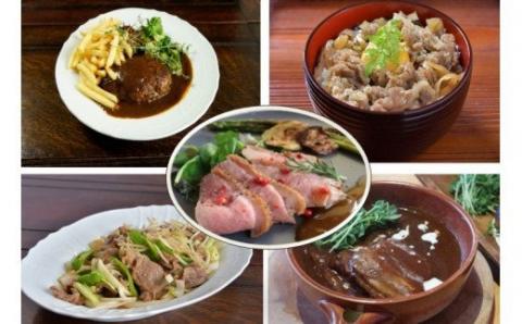 デミハンバーグ・黒毛和牛牛丼の具・ビーフシチュー・合鴨ロースト・味付きジンギスカン(各１個)５種セット_HD085-016