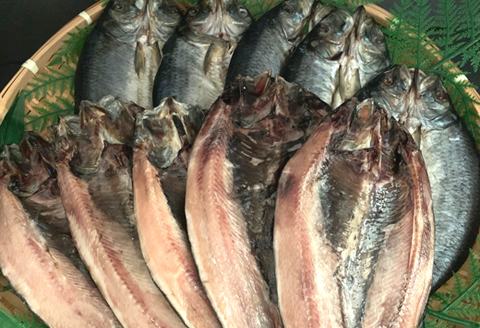 開きにしん10枚セット「函館山崎水産」_HD061-008