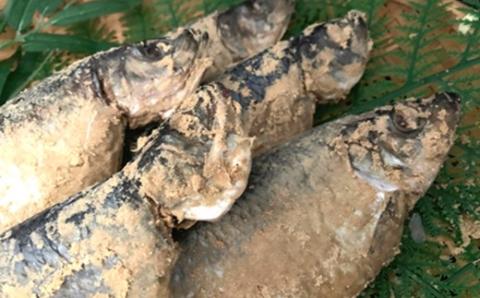 糠にしん甘口・開きにしん各５本詰め合わせ「函館山崎水産」_HD061-011