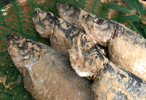 辛口 糠にしん5本セット「函館山崎水産」_HD061-014