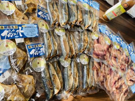 函館の漁師さんを応援！未利用魚介プロジェクト詰め合わせ２_HD120-001