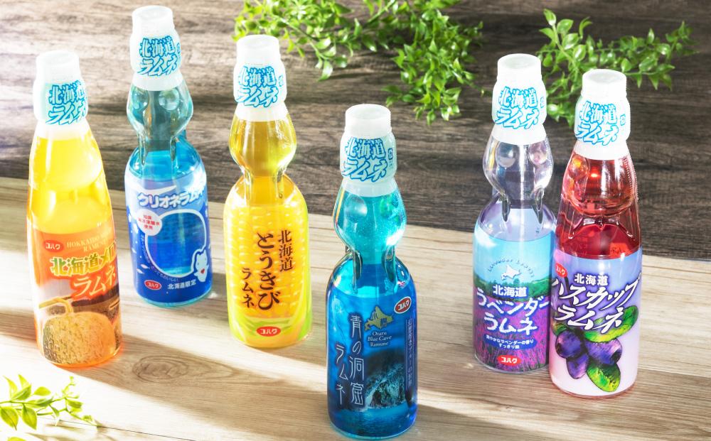 北海道 ラムネ 6種セット 各200ml×5本ずつ (北海道メロン、ハスカップ、ラベンダー、青の洞窟、クリオネ、とうきび)