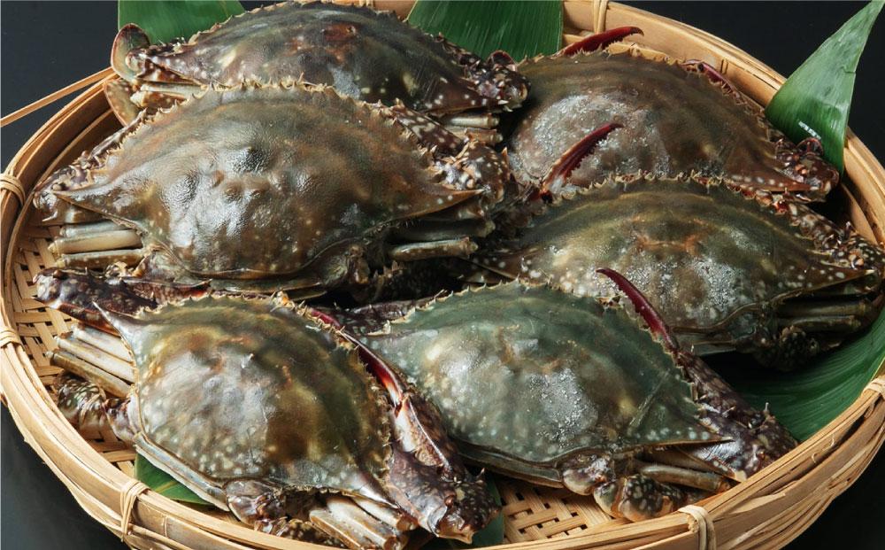 北海道 小樽市産 ワタリガニ 1.8kg (300g×6尾) 蟹 かに ワタリ蟹