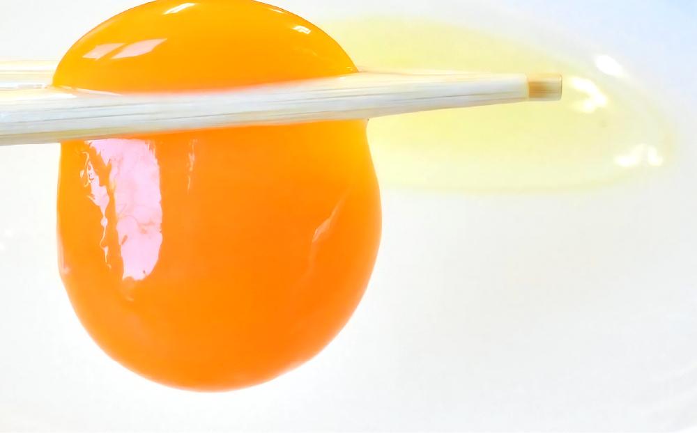 小樽地鶏の生たまご 60個