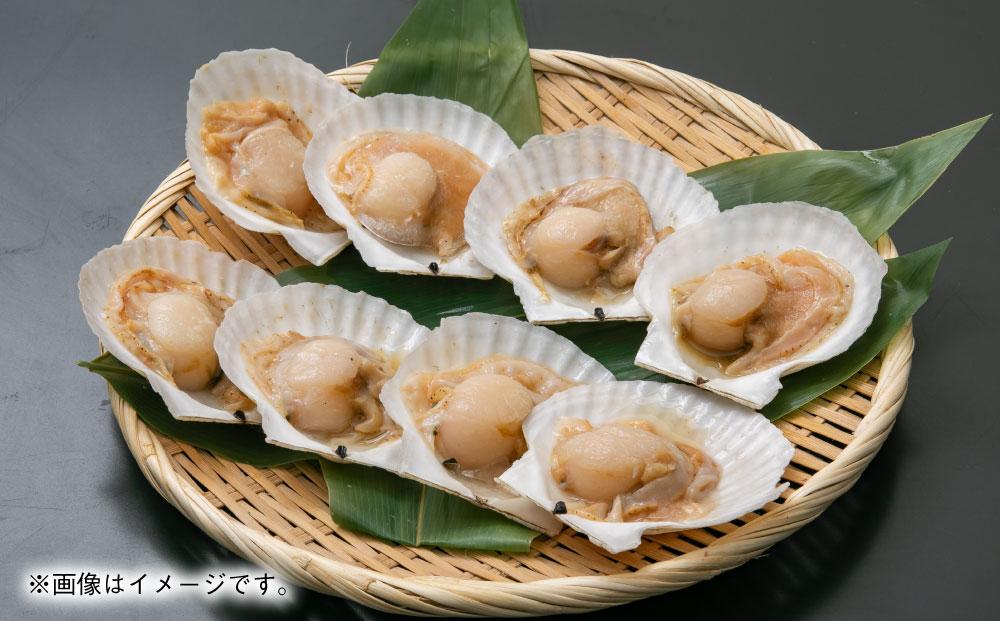 【225】北海道小樽よりお届け！ 北海道産 帆立片貝８枚セット B0080225