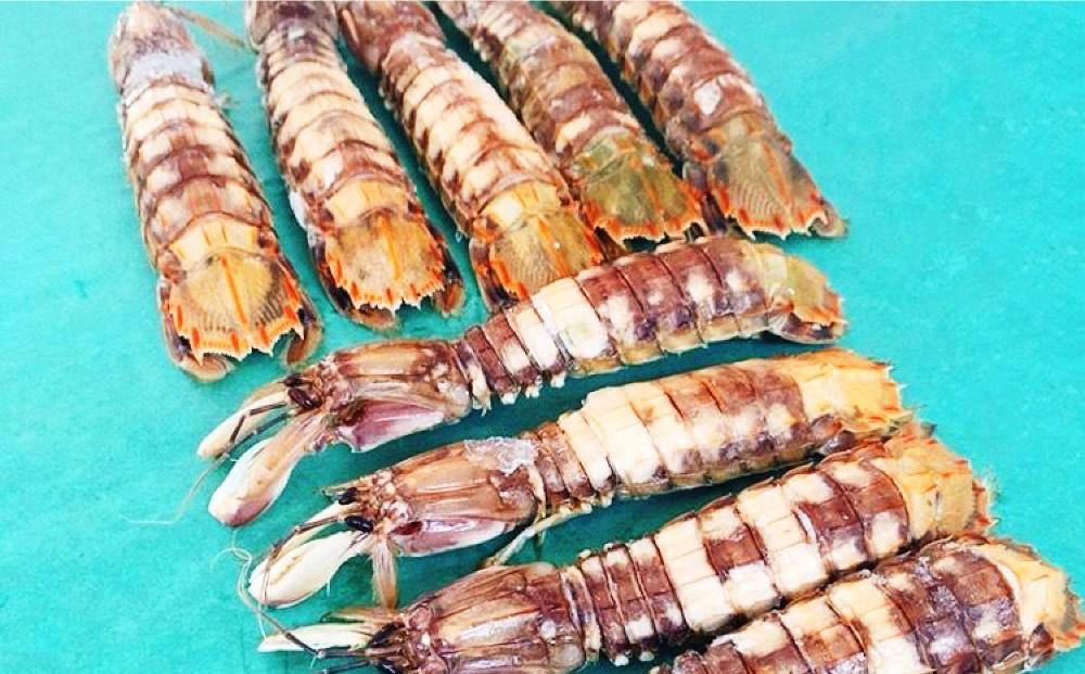 小樽産 剥き シャコオス・メス 各10本 (約200～400g) 蝦蛄 刺し身