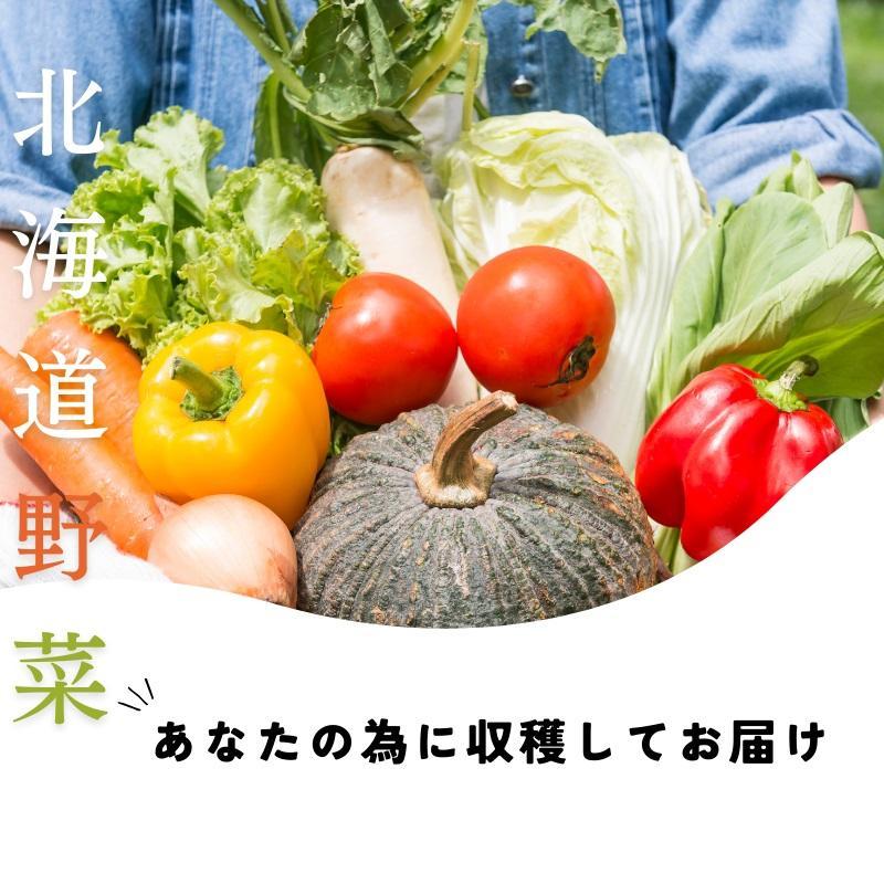 【3回定期便】【野菜ソムリエ厳選】北海道小樽産 旬の活野菜セットL 10種以上 120サイズ