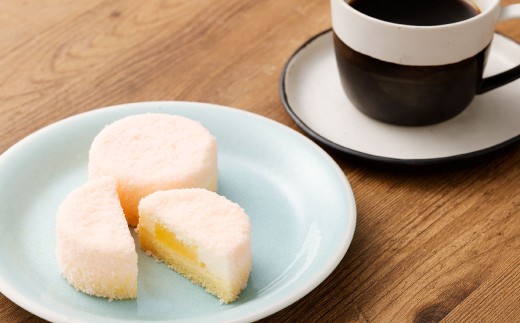 【5回定期便】 北海道ミニフロマージュ （アップル） 約900g×5回 合計約4.5kg ミニフロマージュ フロマージュ チーズケーキ ケーキ スイーツ 洋菓子 冷凍 北海道 小樽市