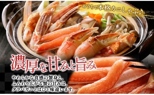 ズワイガニ 蟹しゃぶセット 約1kg 【otaru007】