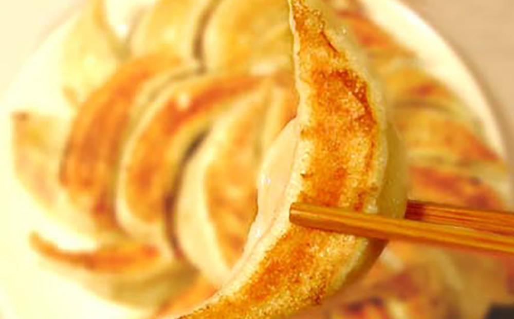 あおぞら銭函3丁め 北海道 餃子セット 3種