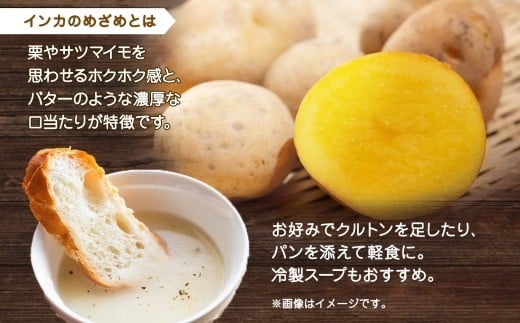 北海道インカのめざめポタージュ 3袋×4箱 12食入り【otaru012】 ポタージュ ポタージュスープ ポテトポタージュ 北海道産 インカのめざめ じゃがいも ジャガイモ スープ インスタントスープ レトルトスープ 北海道 小樽市 常温