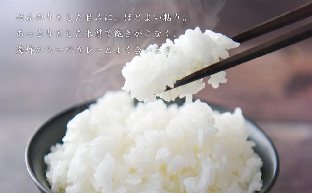 北海道 スープカレー & ライス セット （シーフード・チキン）2セット