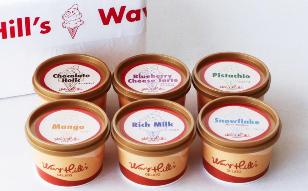 ジェラート 100ml×6個セット 全6種 北海道産生乳使用