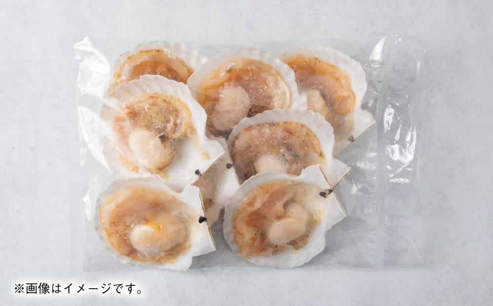 【225】北海道小樽よりお届け！ 北海道産 帆立片貝８枚セット B0080225