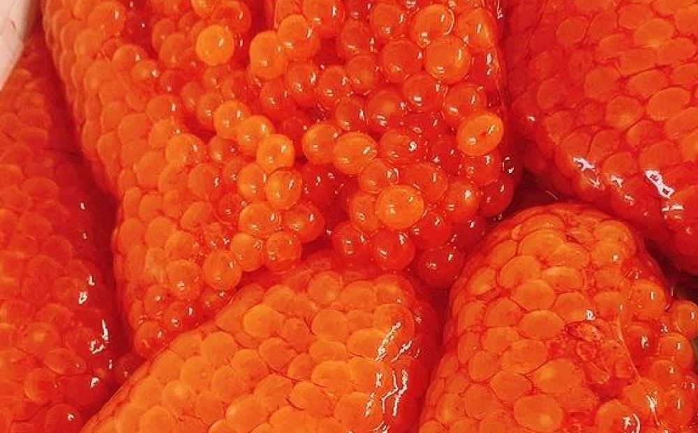 自家製 いくら ?油漬け 250g