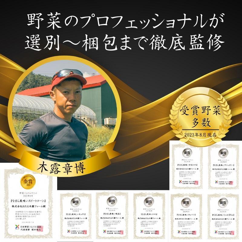 【4回定期便】【野菜ソムリエ厳選】北海道小樽産 旬の活野菜セットL 10種以上 120サイズ